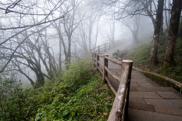 mount-emei-china-buddha-23