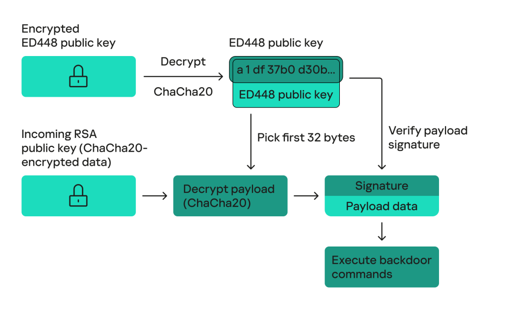 Backdoor payload decryption and check diagram